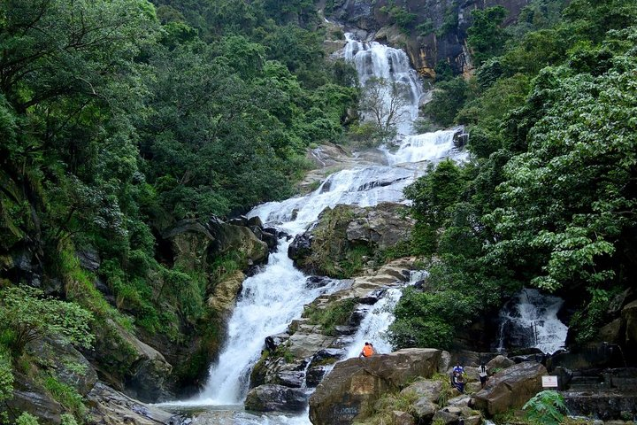 sinharaja Rain Forest